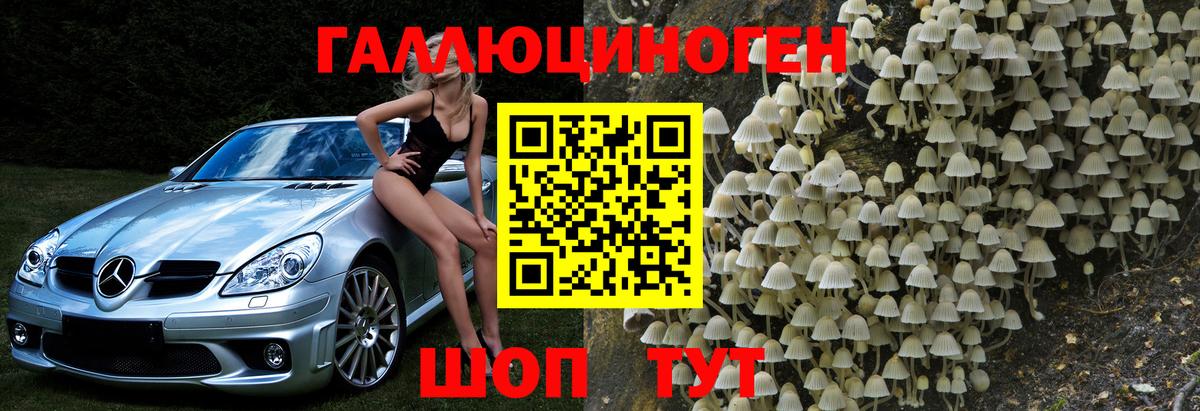 Псилоцибиновые грибы прущие грибы Муром