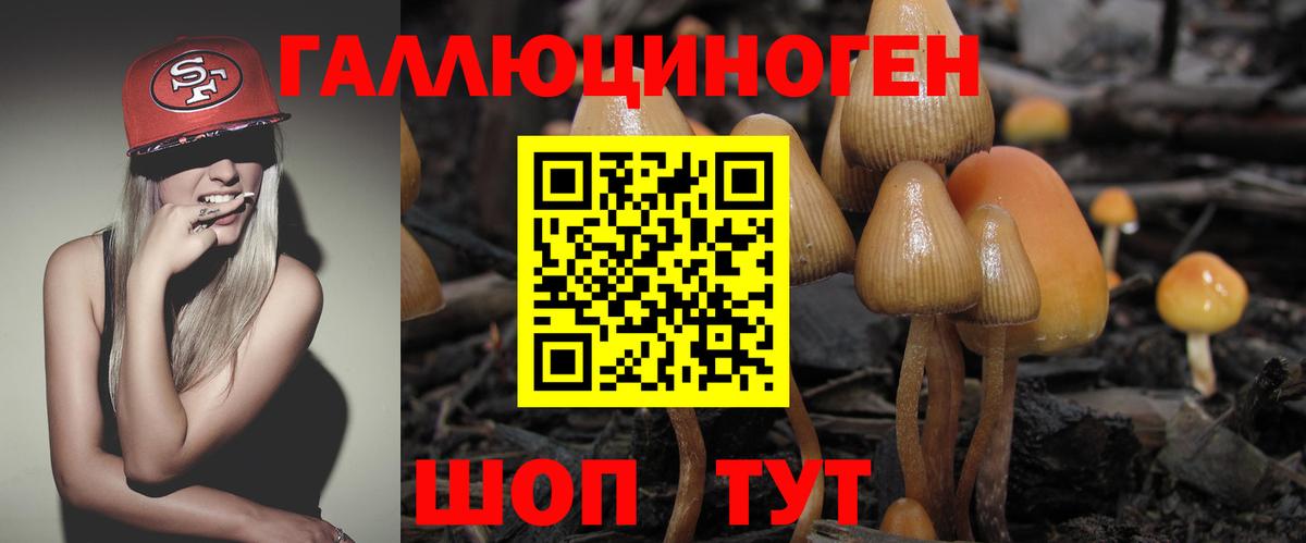 Муром  Галлюциногенные грибы мухоморы  Вход с VPN 